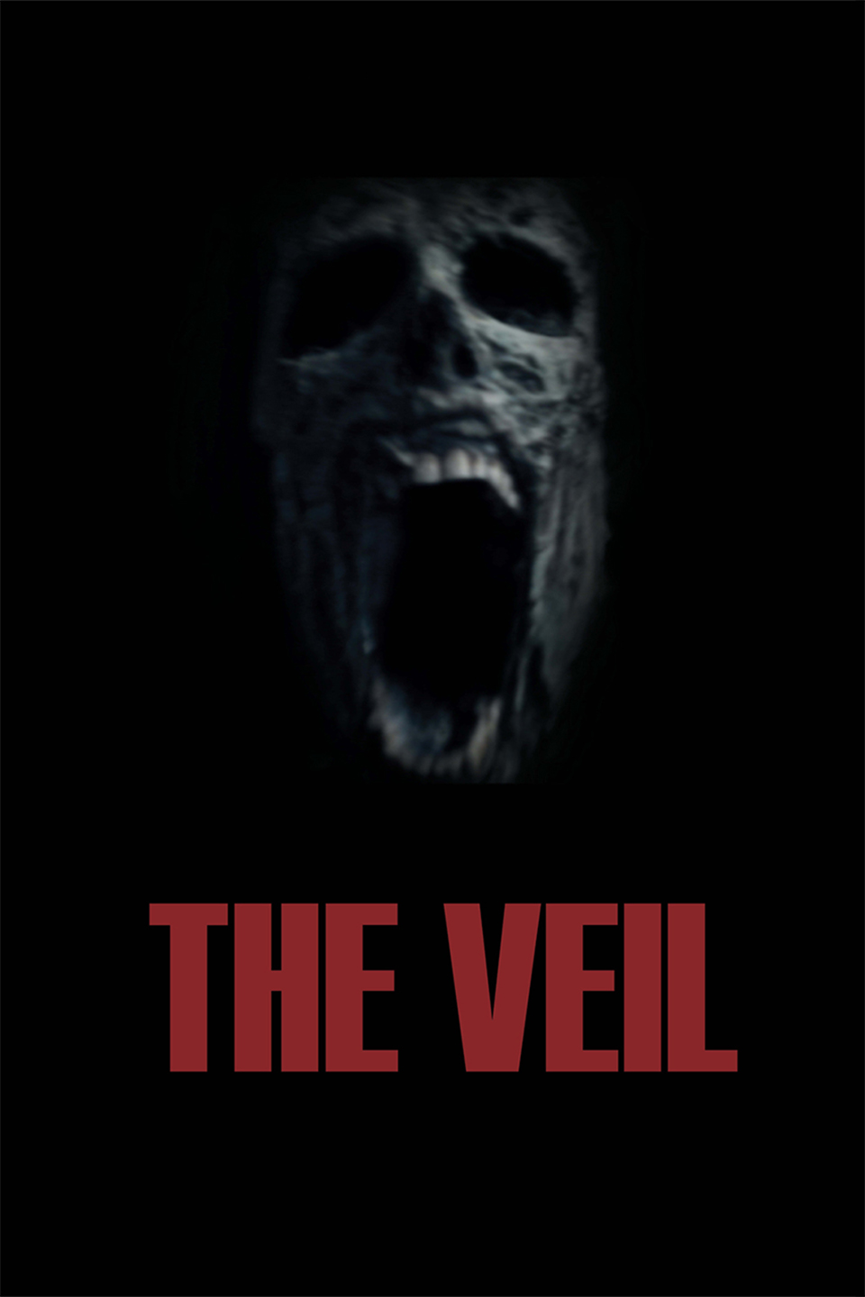 The Veil (2016) [41095] (A1703728153) [[Movies]] --Plex--